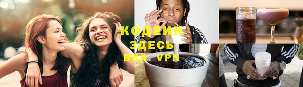 хмурый Арсеньев