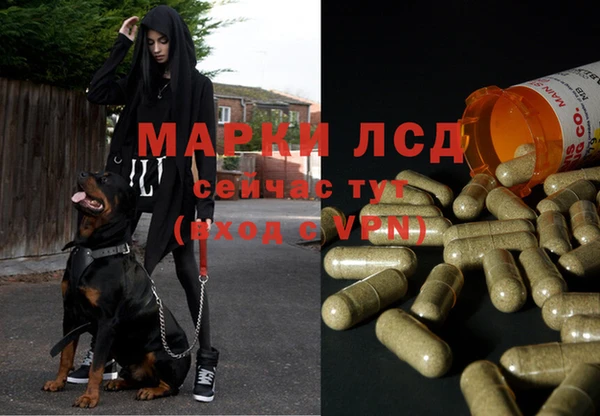 стафф Армянск