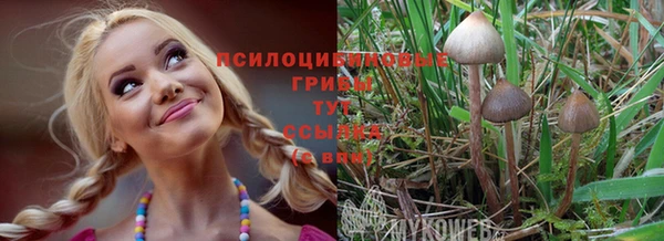 соль курить ск Балабаново