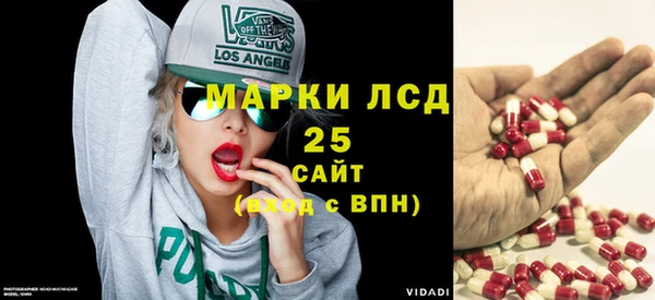 хмурый Арсеньев