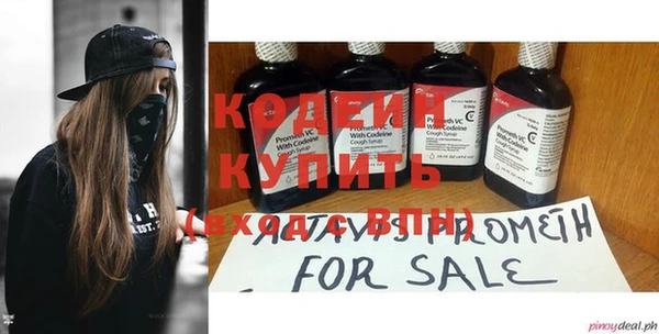 хмурый Арсеньев